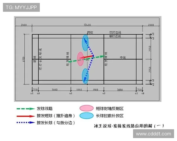 重庆羽毛球队的战术创新与转换体系解析 重庆羽毛球队的战术创新与转换体系解析